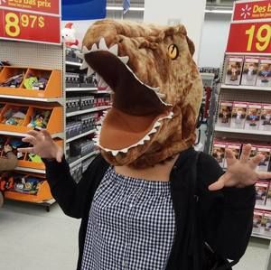 Meet your Posher, Weiwei